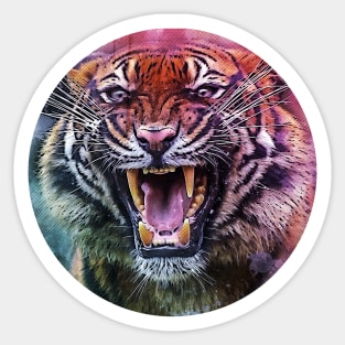 Tiger Sticker